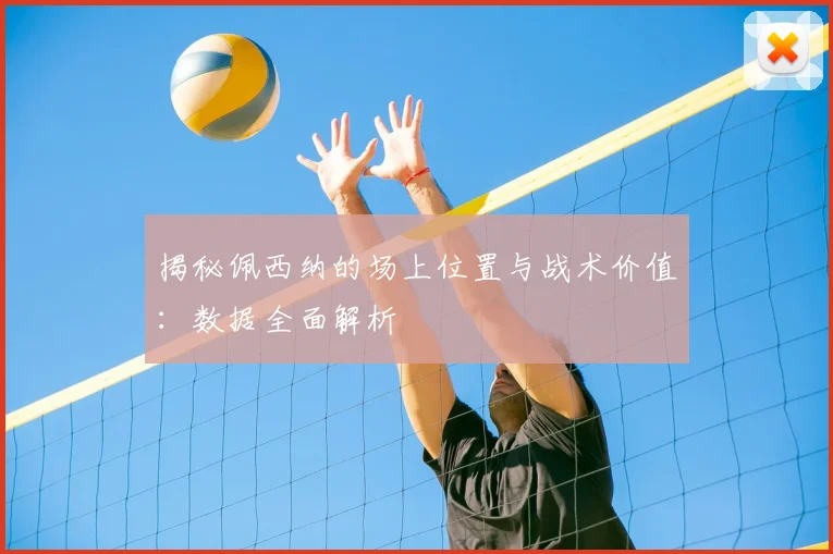 揭秘佩西纳的场上位置与战术价值：数据全面解析
