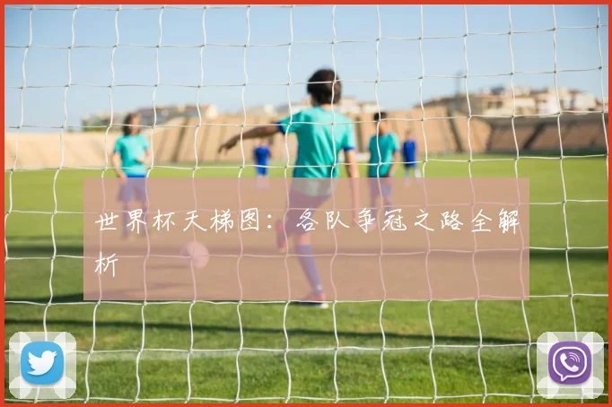世界杯天梯图：各队争冠之路全解析