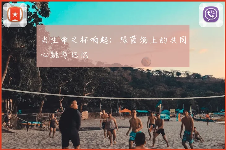 当生命之杯响起：绿茵场上的共同心跳与记忆