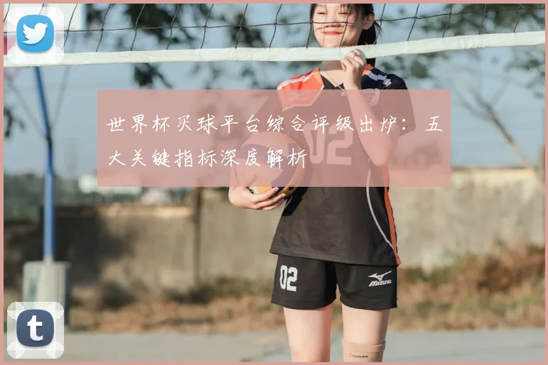 世界杯买球平台综合评级出炉:五大关键指标深度解析
