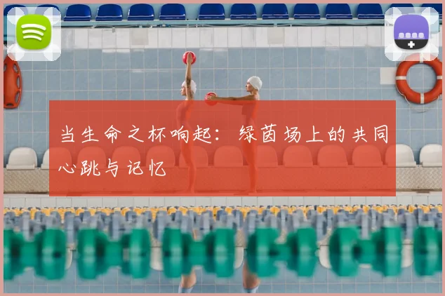 当生命之杯响起：绿茵场上的共同心跳与记忆