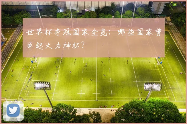 世界杯夺冠国家全览：哪些国家曾举起大力神杯？