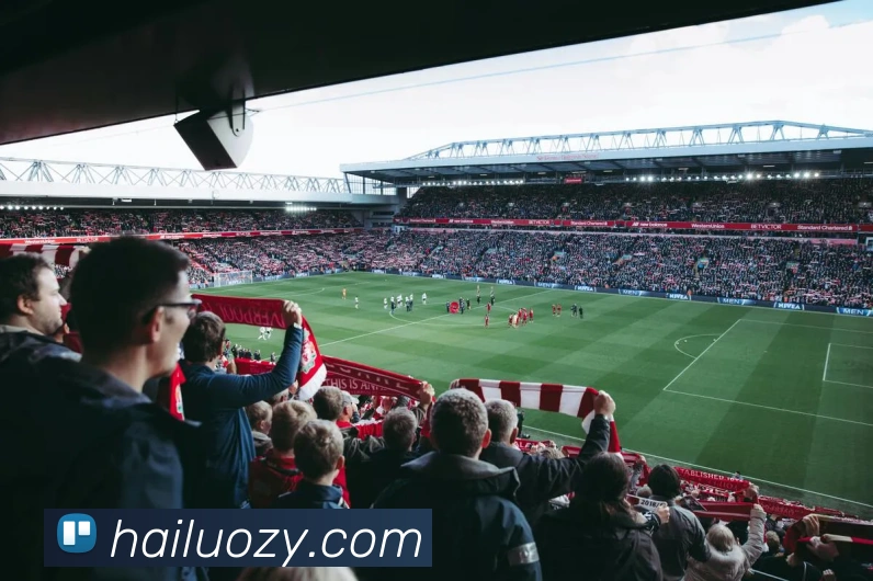 App Interface Preview